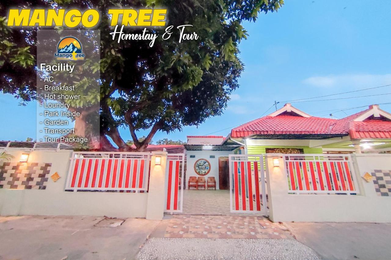 Mango Tree Homestay & Ijen Tour Banyuwangi  Exterior photo